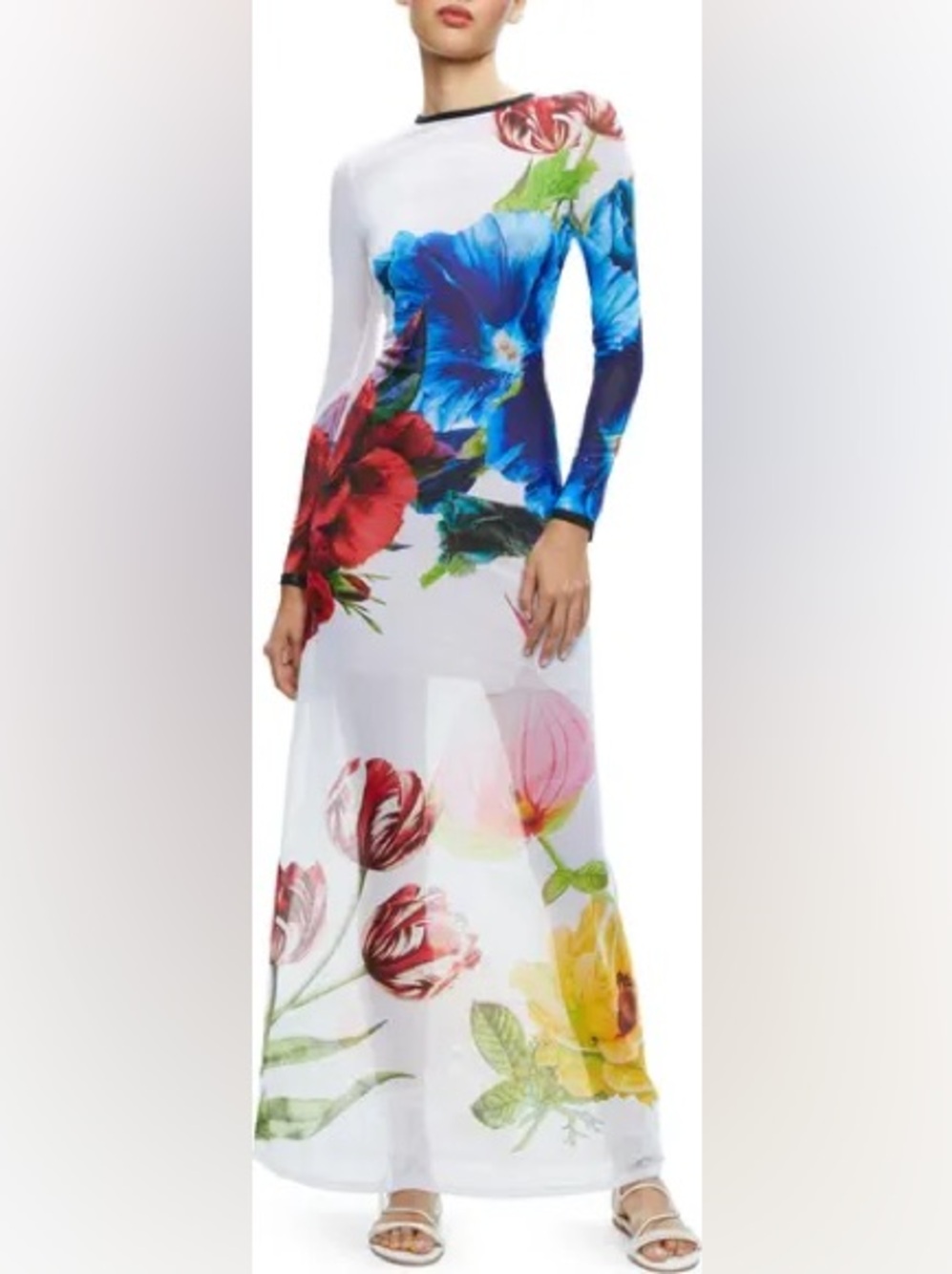 Ccommense Floral Long Sleeve Maxi Dress in Multicolor XS